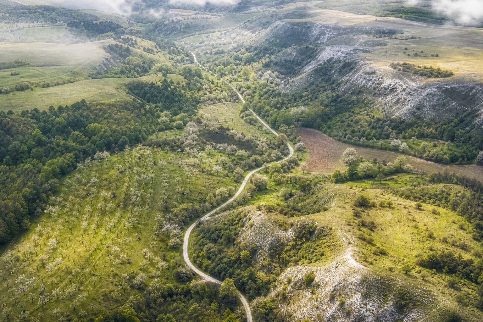 Detailaufnahme einer hellen Hügellandschaft